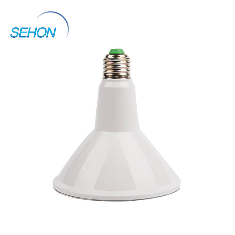 Sehon Wholesale led down lights factory used in hotels lighting-1