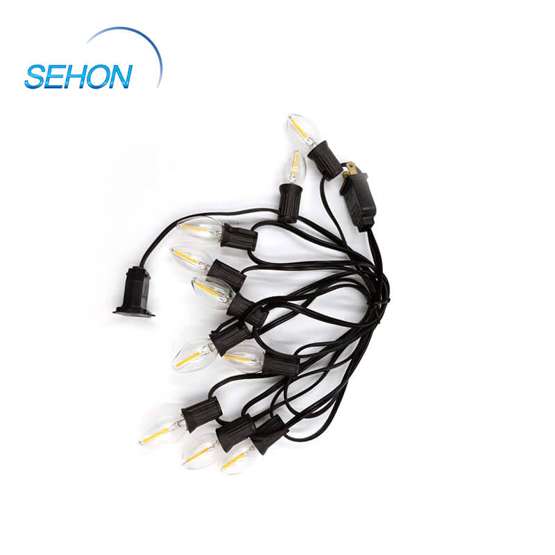 Sehon High-quality 10 bulb led string lights company used on holidays-1