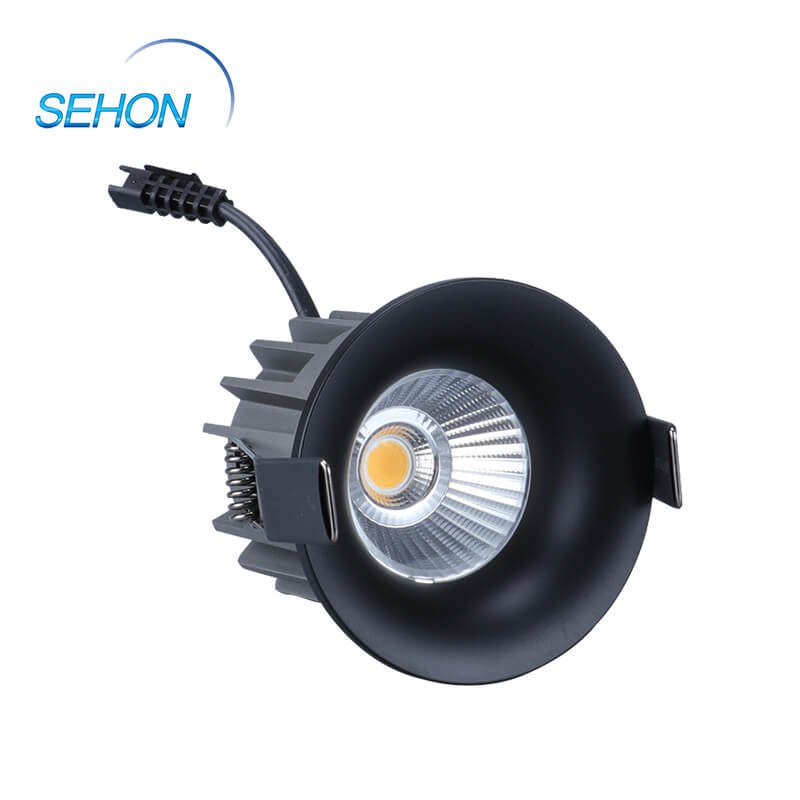 Sehon 100mm downlight factory for hotel lighting-2