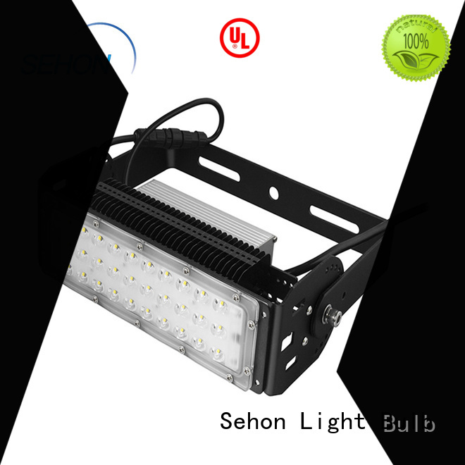 Sehon Wholesale led security spotlight factory used in signage and indicative lighting