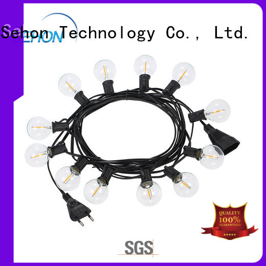 Sehon decorative string lights for living room manufacturers used on Christmas