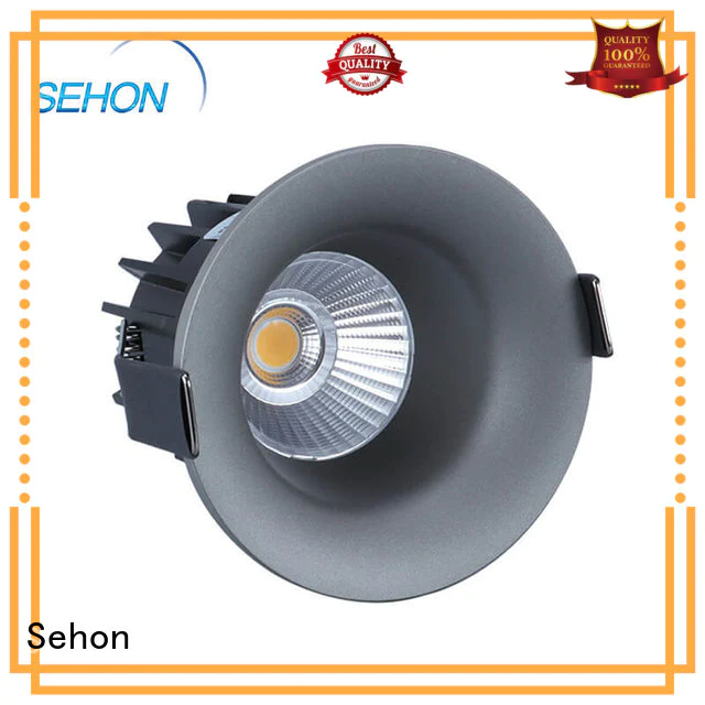 Sehon low profile recessed downlights Suppliers for hotel lighting