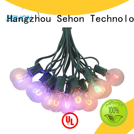 Sehon New 100 led string lights Supply used on Christmas