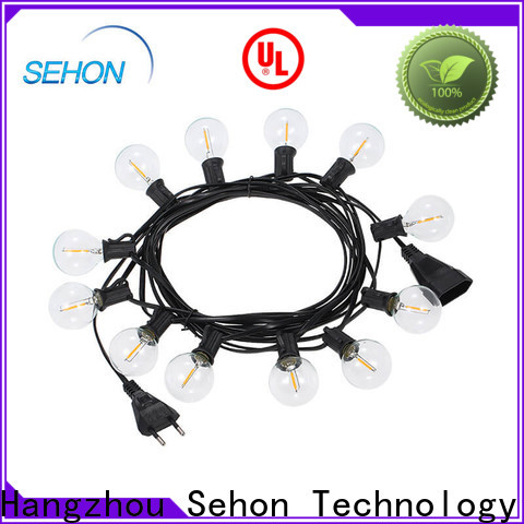 Sehon Top individual led lights Suppliers used on Christmas