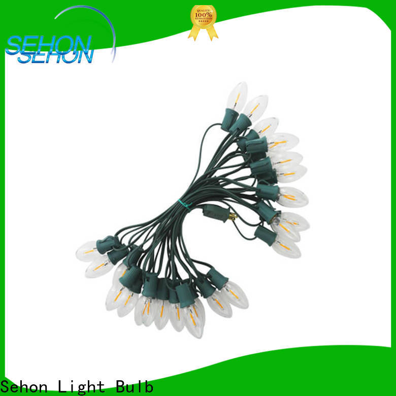 Best low voltage led rope light Supply used on Christmas