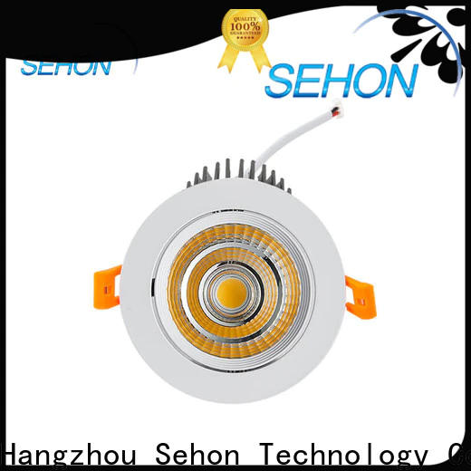 Sehon large downlights factory for hotel lighting