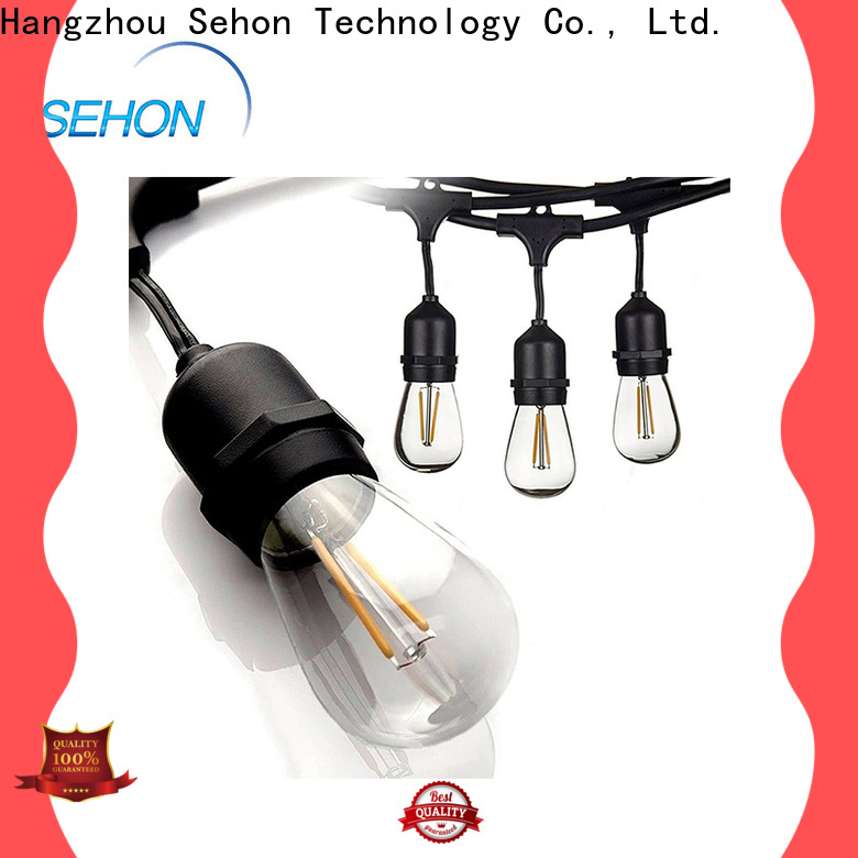 Sehon Latest micro led rope lights manufacturers used on Christmas