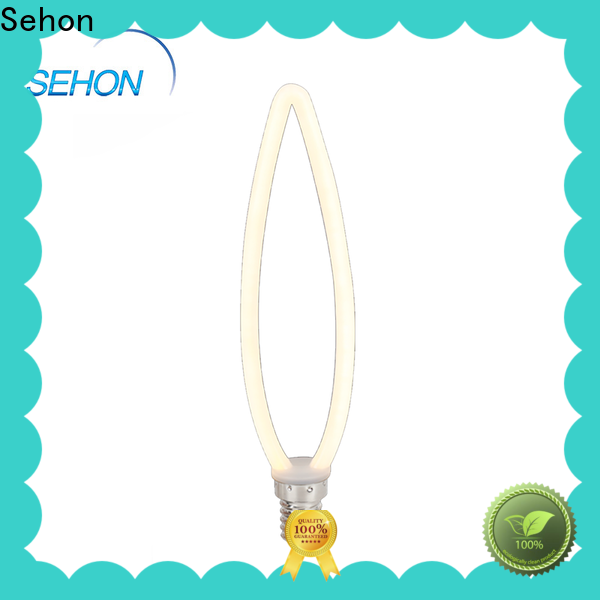 Sehon edison led globe Suppliers used in living rooms