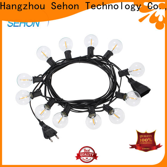 Sehon micro led string lights plug in factory used on holidays