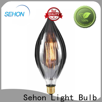 Sehon large edison bulbs factory used in bedrooms