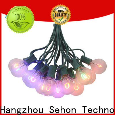 Best round bulb string lights Supply used on Halloween
