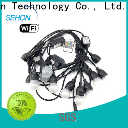 Sehon micro led rope lights company used on holidays