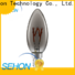 Sehon edison globe bulb Suppliers used in living rooms