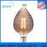 Sehon Best edison style filament bulbs factory used in living rooms