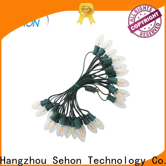 Sehon High-quality 10 bulb led string lights company used on holidays