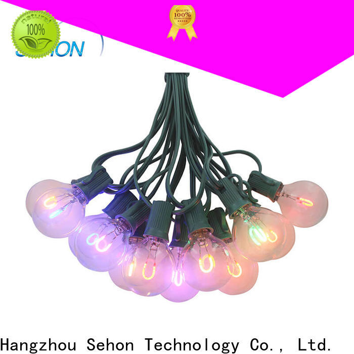 Sehon led flexible tube lights company used on Christmas