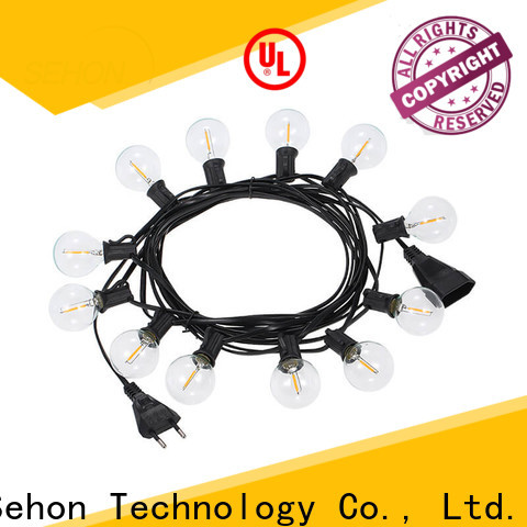 Sehon Latest indoor outdoor rope lights factory used on holidays