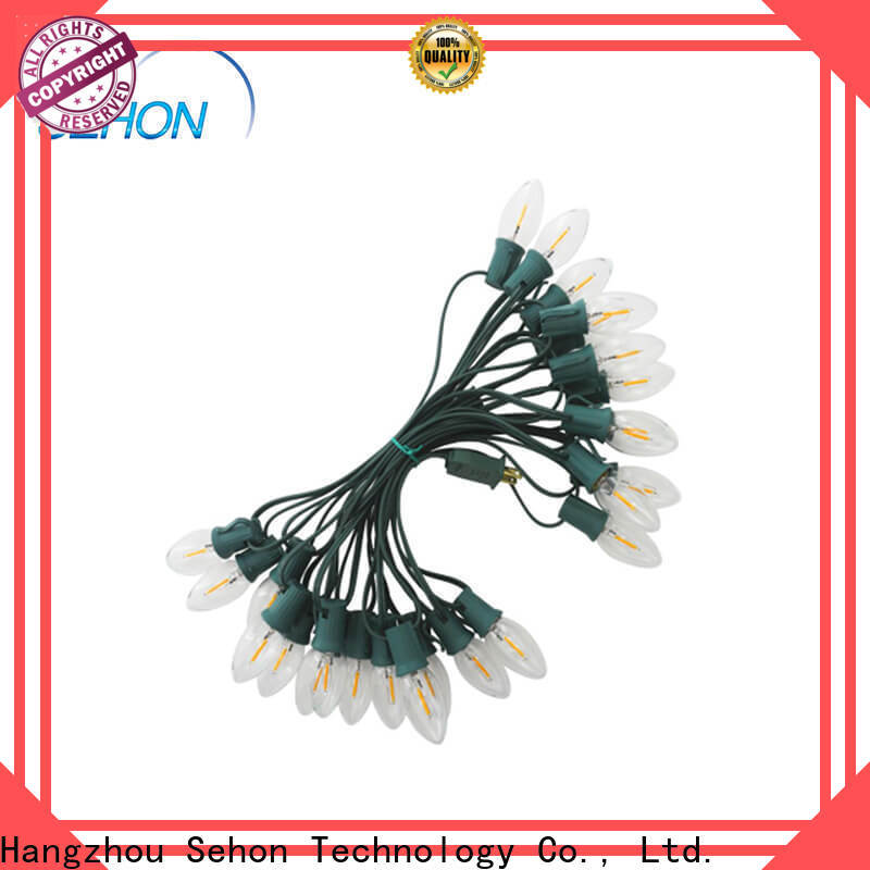 Sehon color changing rope lights with remote Supply used on Halloween