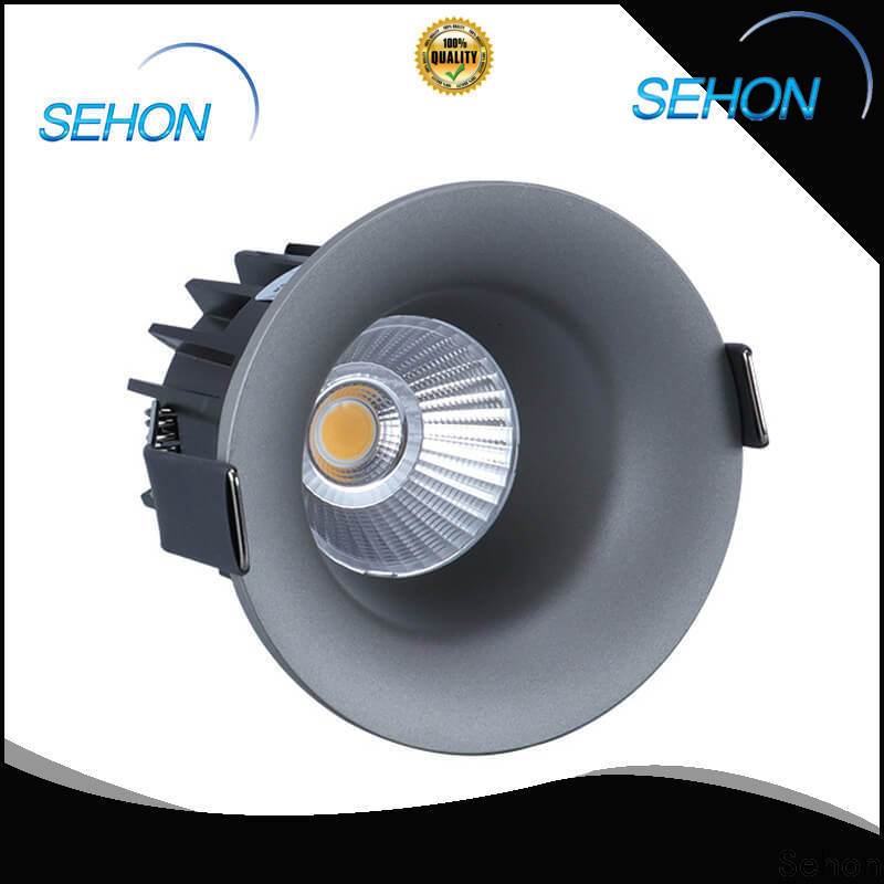 Sehon Custom modern downlights company for hotel lighting
