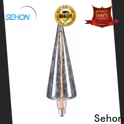 Best ses led bulbs company for home decoration