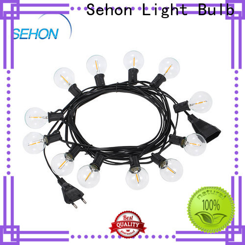 Sehon Latest bright led rope lights Supply used on holidays