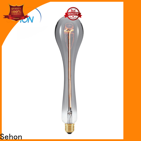 Custom a19 led edison bulb for business used in bathrooms