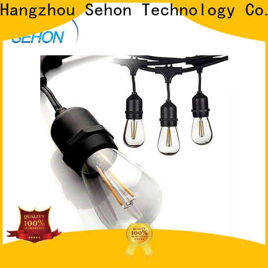 Sehon warm white led string lights for business used on Halloween