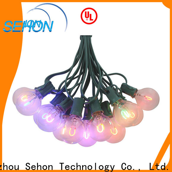 Sehon Custom white strand led christmas lights Supply used on Halloween