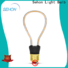 Sehon einstein bulb manufacturers for home decoration