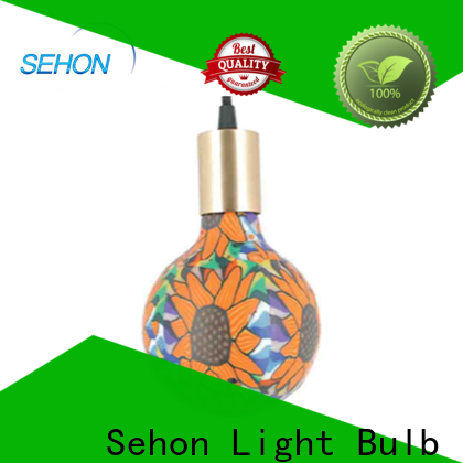 Sehon Top retro led filament bulb Supply used in bathrooms