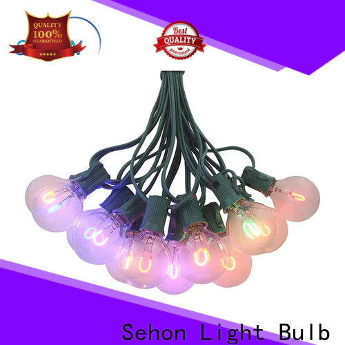 Sehon outdoor led string Supply used on Christmas