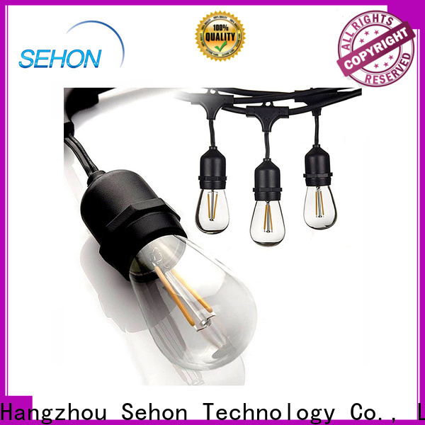 Sehon flexible led rope lights for business used on Halloween