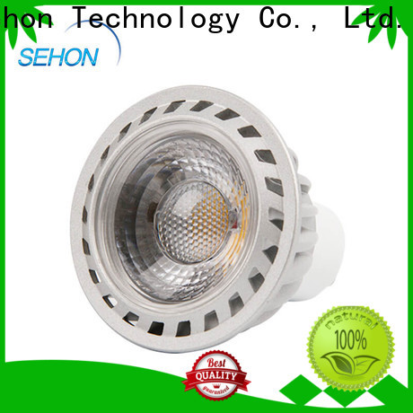 Sehon Best flood light globe factory used in hotels lighting