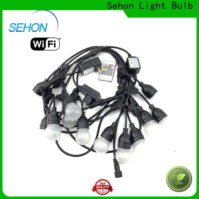 Sehon Wholesale led globe string lights white wire manufacturers used on Halloween