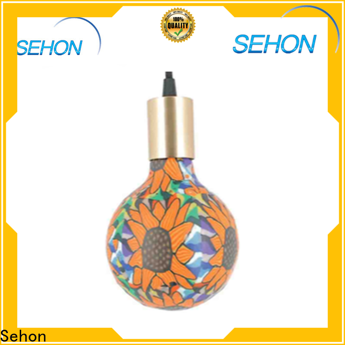 Sehon Best where can i buy edison bulbs manufacturers used in bedrooms