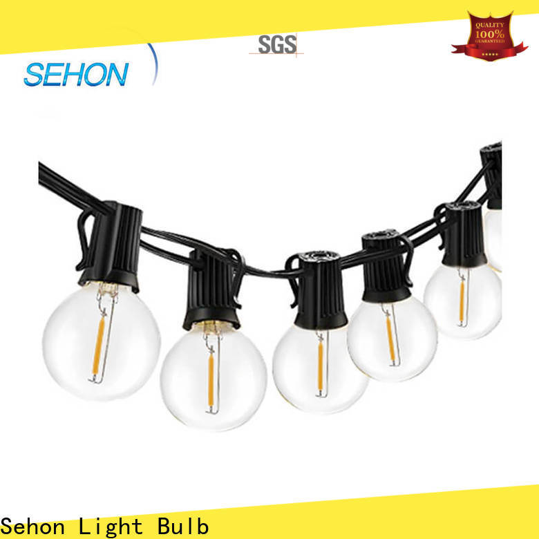 Sehon Top warm led string lights company used on Christmas
