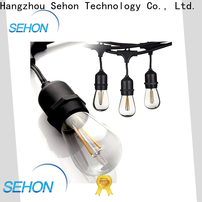 Sehon New clear led rope lights Suppliers used on Christmas