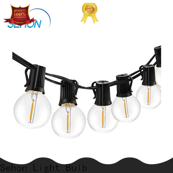 Sehon outdoor led globe string lights Suppliers used on Halloween
