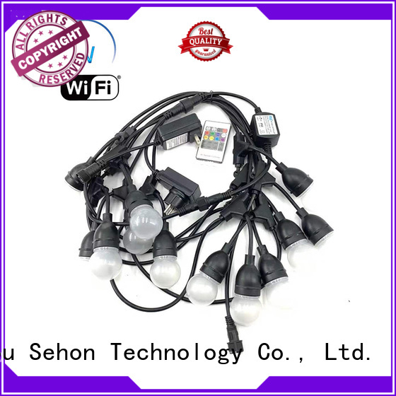 Sehon Top flexible rope light Supply used on holidays