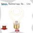 High-quality g25 led filament Suppliers for home decoration