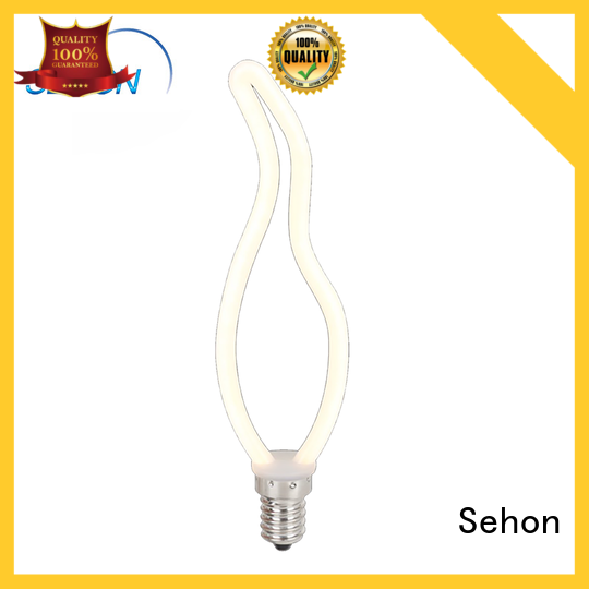 Sehon edison light bulb 100 watt Supply used in bathrooms