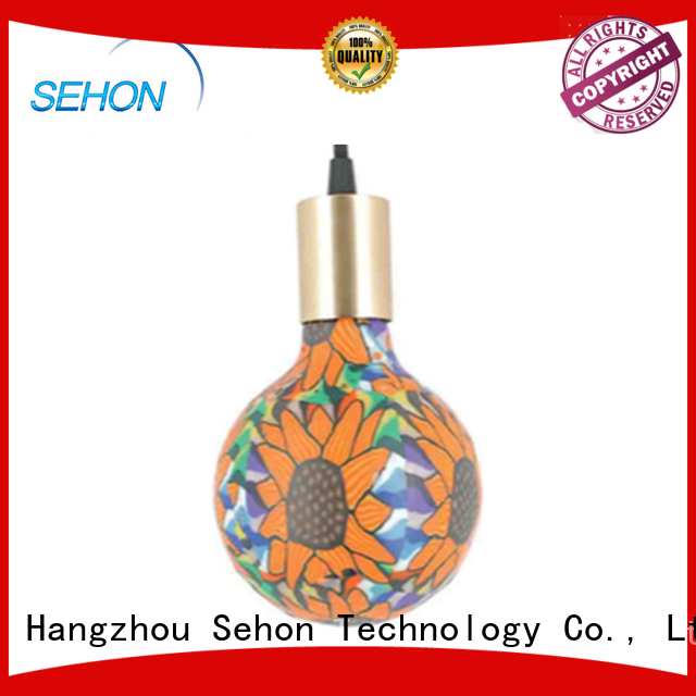 Sehon vintage style led light bulbs for business for home decoration