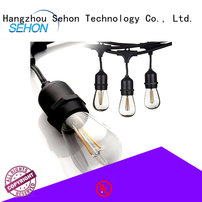 Sehon decorative twinkle lights for business used on holidays